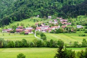 Brezovica pri Borovnici